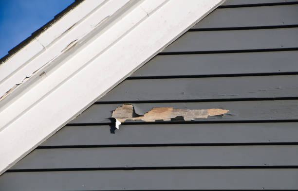 Best Storm Damage Siding Repair  in Redwood Valley, CA